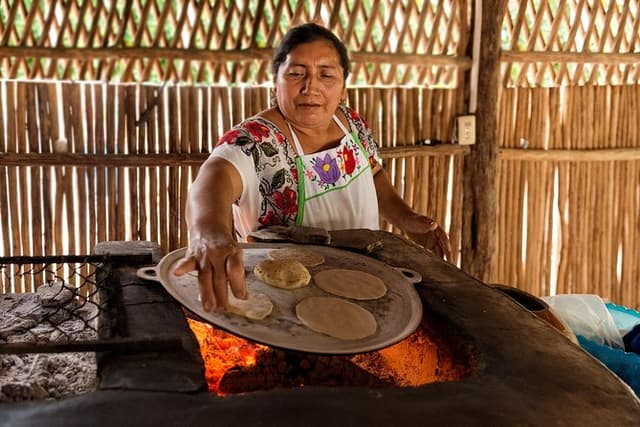 Ancient Chacchoben Mayan Ruins & Mayan Experience from Costa Maya