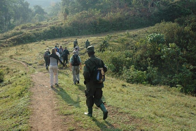 Uganda & Rwanda Primate Tour