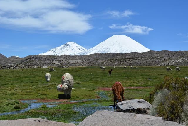 arica and parinacota in 2 days 1 night