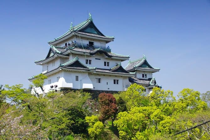 Explore History: Best Wakayama Castle Tours & Experiences