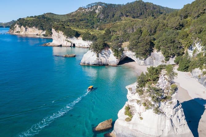 Best Cathedral Cove Cruises & Whitianga Coastal Tours