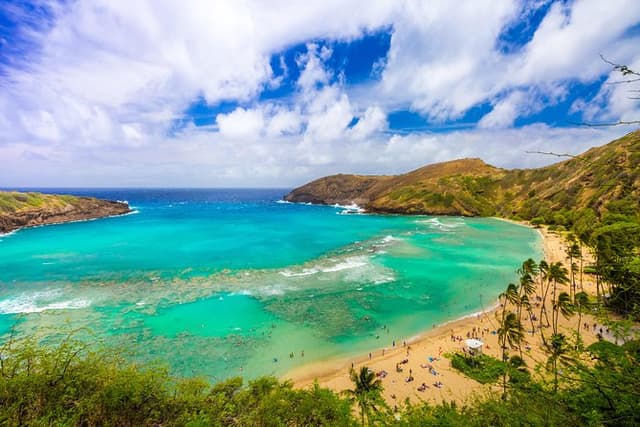 Oahu Deluxe Grand Circle Island Tour