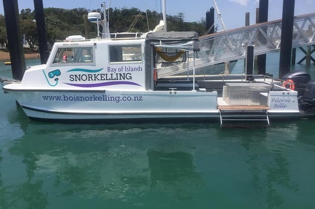 Epic Snorkelling in the Bay of Islands