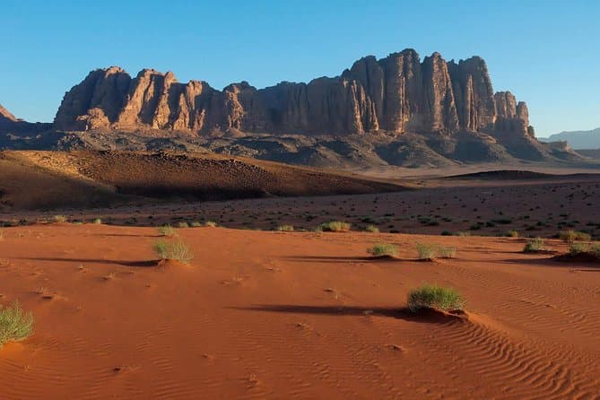 Best Wadi Rum Desert Adventures & Day Tours from Sweimah