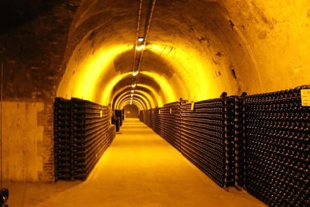 Ruinart champagne special tour