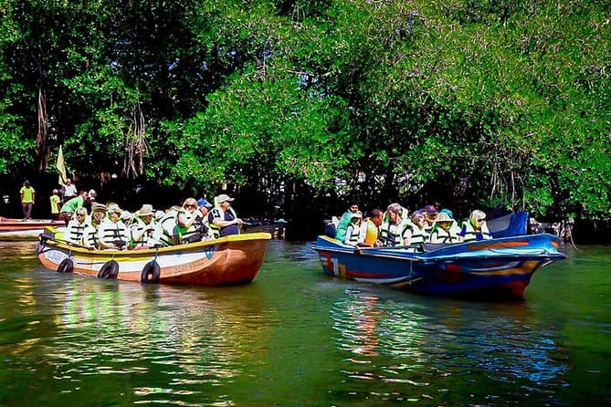 Best Madu River Boat Safari & Mangrove Tours in Bentota