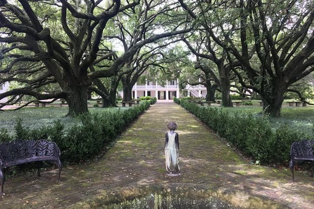Two Plantation Tour: Oak Alley and Laura or Whitney