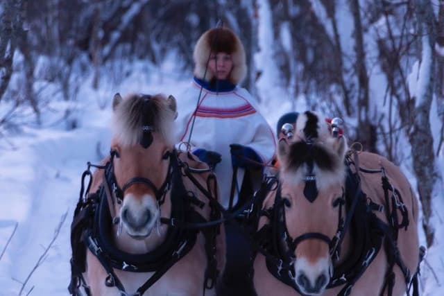 Sleigh Ride w/snacks- Experience Arctic Farm Life