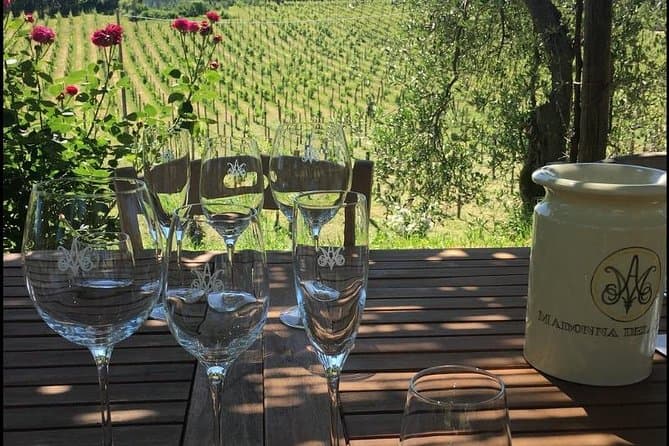 Authentic Orvieto Wine Tasting & Umbrian Vineyard Tours
