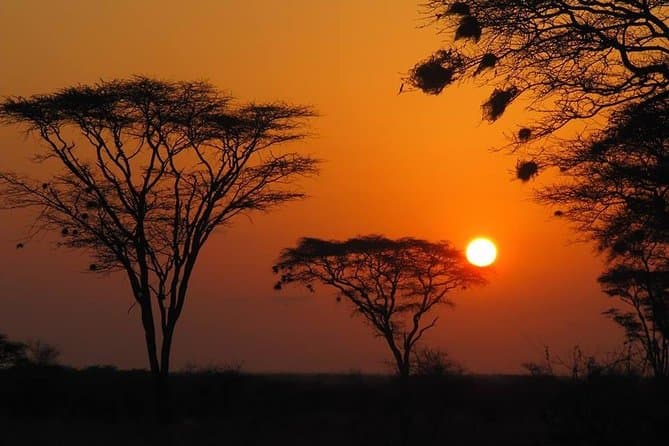 Premier Meru National Park Safari Tours from Nairobi