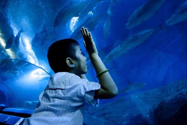 Underwater World Pattaya (Ticket Only)