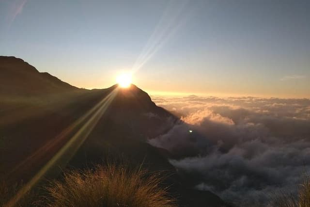 Sunrise Tour in Top Station, Munnar ( By Munnar Info)