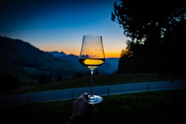 Best of Cape Town Wines - Cape Winelands Tour