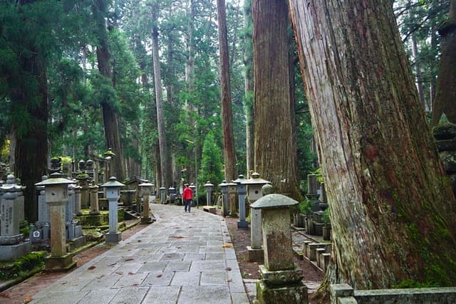 Koyasan Full-Day Private Tour