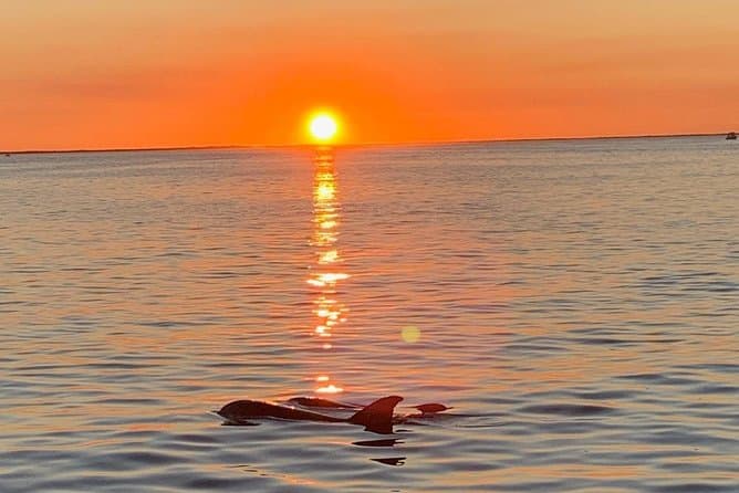 Best Key Largo Sunset Cruise: Unforgettable Ocean Views