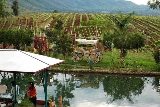 Wine Testing Tour in Taunggyi, Myanmar