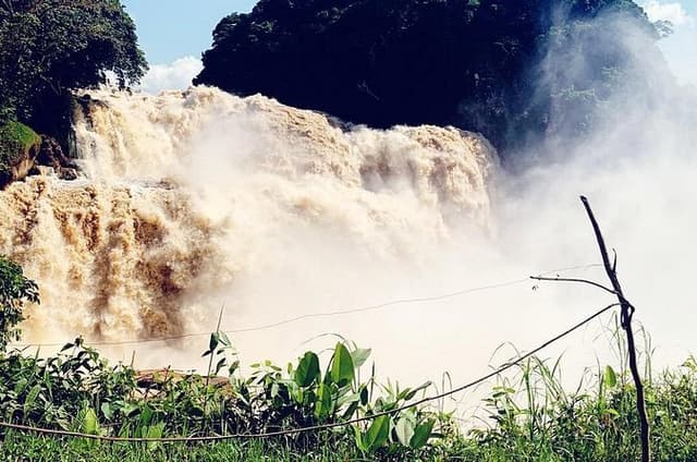 4 days Zongo falls, Bonobos and Kinshasa city experience