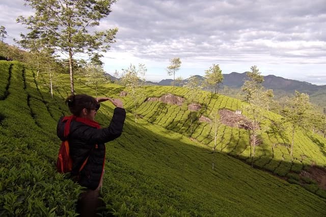 Half day trekking (munnar valley Trekking & Tours )
