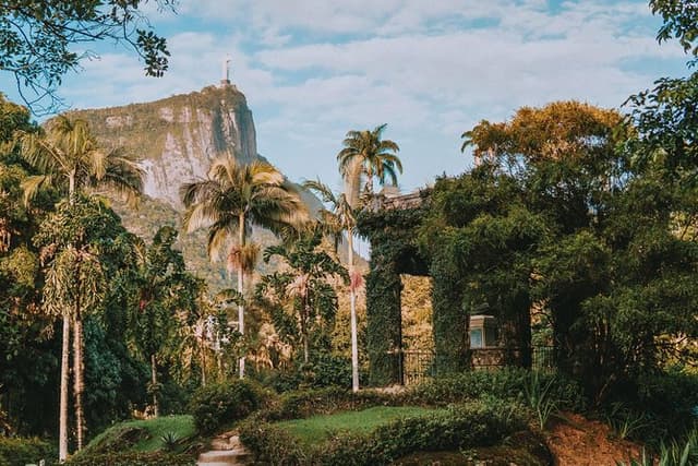 Rio de Janeiro Botanical Garden & Tijuca Forest Tour