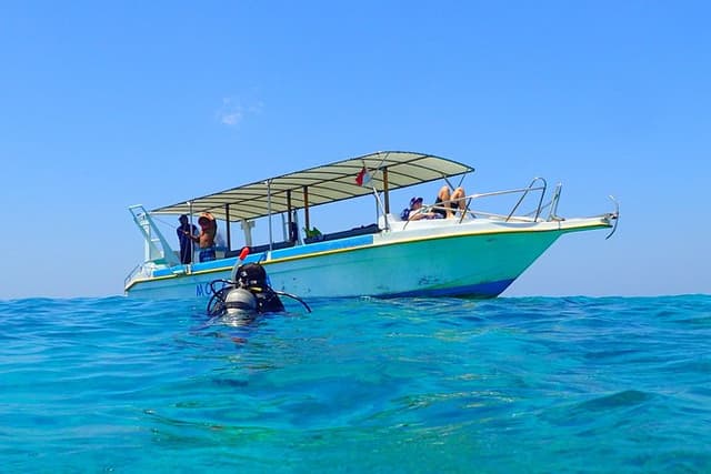 Menjangan island for Certified Scuba Divers full day boat trip, 2 dives + lunch