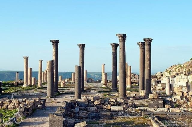Jerash, Ajloun and Umm Qais Day Tour From Amman 