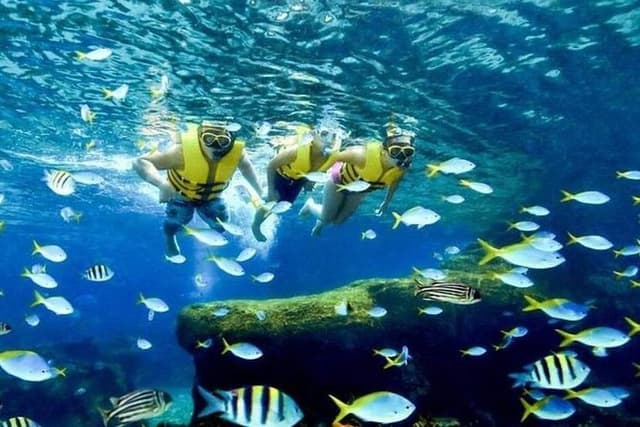 Adventure Cove WaterPark Sentosa Island Singpore optional ticket