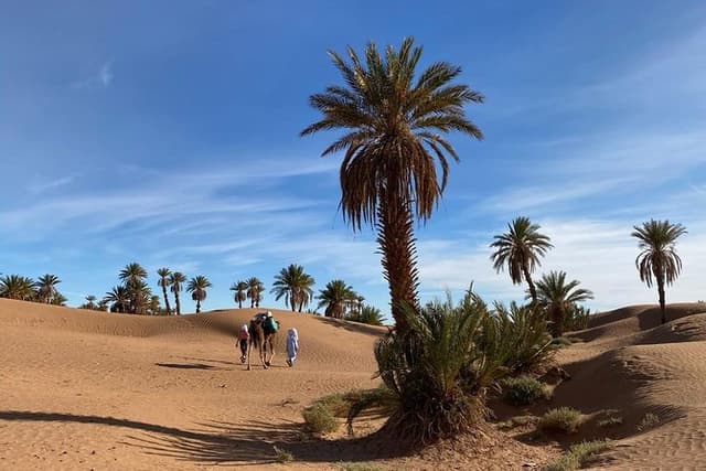 3-day trek - In the shade of palm trees