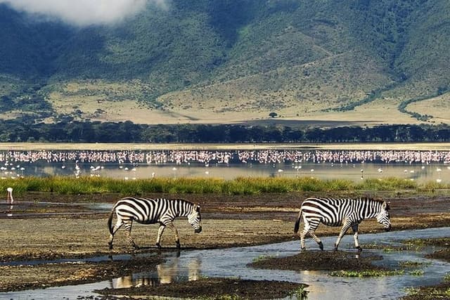 Ngorongoro Day Trip