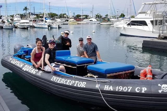 Big Island: Marine Wildlife Excursion