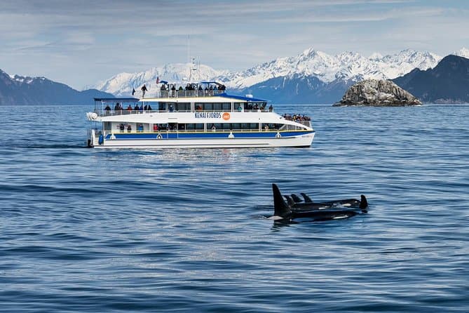 Unforgettable Kenai Fjords National Park Cruises in Seward
