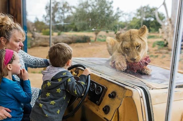 Werribee Open Range Zoo General Admission Ticket