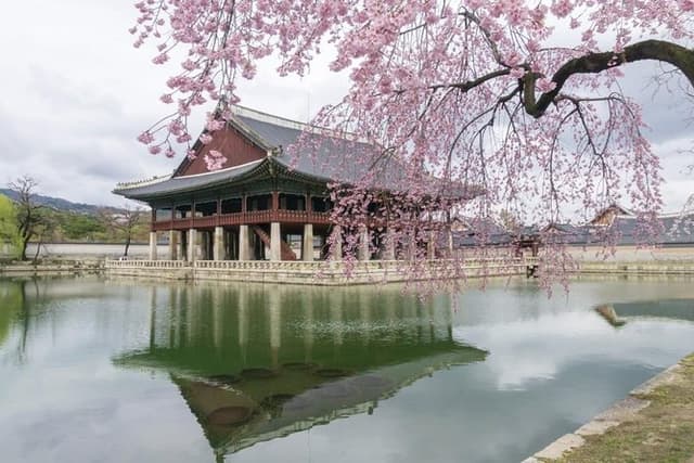 Seoul Highlights & Hidden Gems – Private Tour with Photo Service