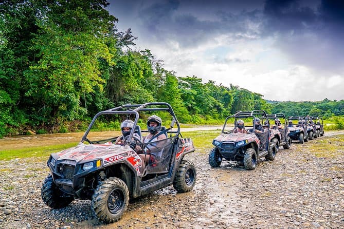 Best Monkeyland Buggy Adventure & Monkey Encounter