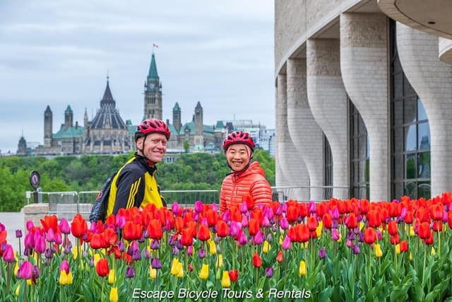 Ottawa Spring Tulip Festival Bike Tour