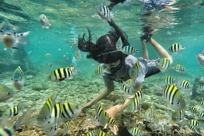 Bali Snorkeling Tour - Kuta
