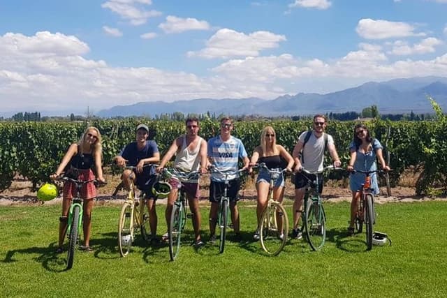 Self-Guided Bike Tour in Luján de Cuyo Wine Region (Mendoza)