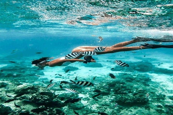 Blue Lagoon Snorkeling Tour