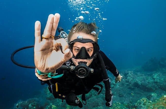Compare Best PADI Diving Courses in Ubud