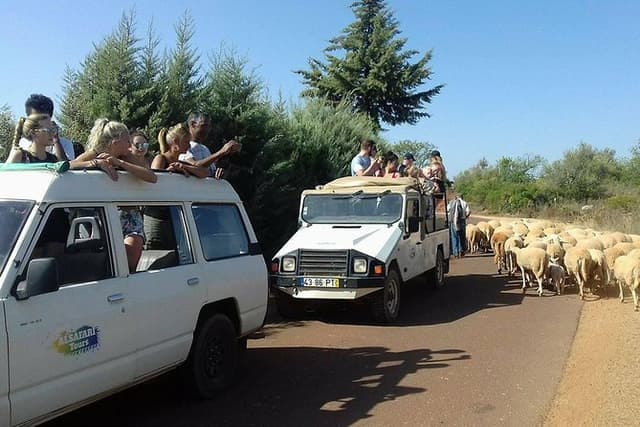 Half-Day Algarve Countryside and Villages Jeep Safari