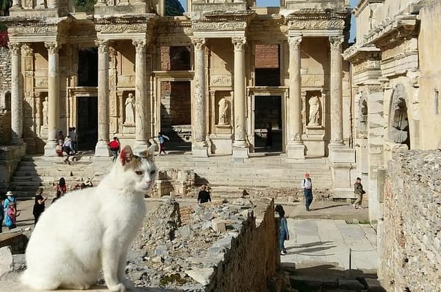 Entrance Fees are INCLUDED/Late Riser Private Exc. Ephesus & Virgin Mary Shrine