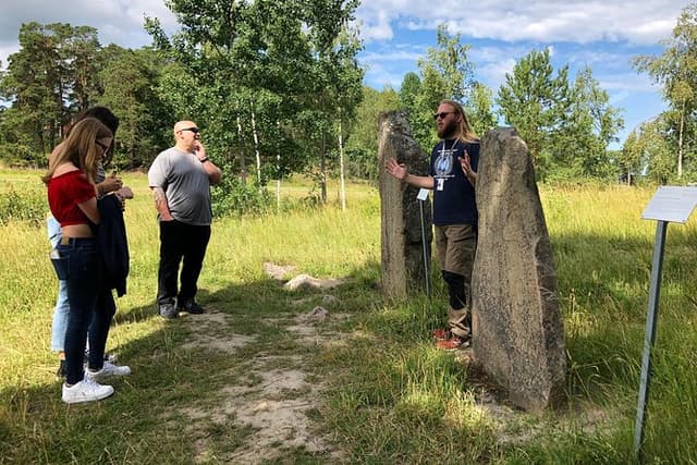 Private Full Day Viking History Tour from Stockholm Including Sigtuna and Uppsala