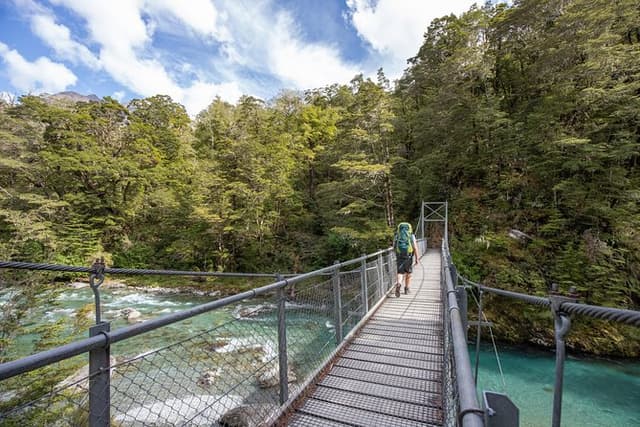 Routeburn Guided Nature Trail - Half Day
