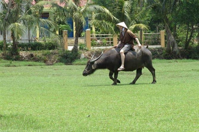 Authentic Tra Que Vegetable Village Experience in Hoi An