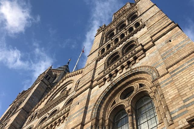 Essential London Full-Day Private Tour by Public Transport