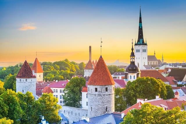 Tallinn Day Trip or Airport Transfer
