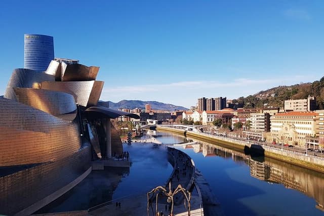 Guided tour in Spanish of the Guggenheim Museum Bilbao