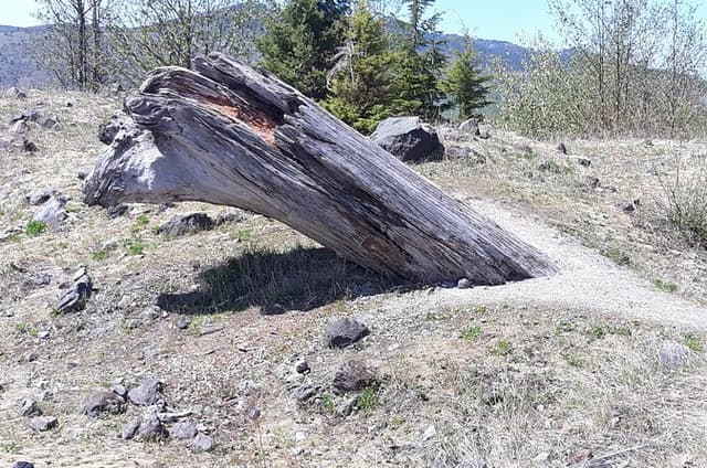 Luxury Private Mount Saint Helens Day Trip