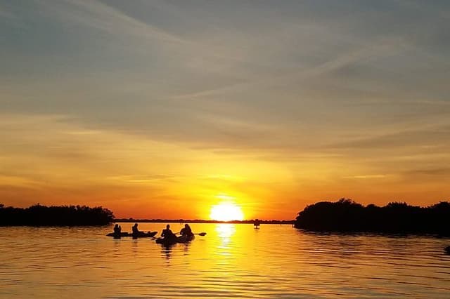 Sunset Tour Mangrove, Dolphins, Manatee #1 Rated in Cocoa Beach