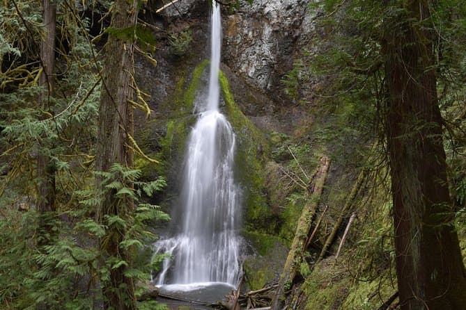 Unforgettable Olympic National Park Adventures from Port Angeles