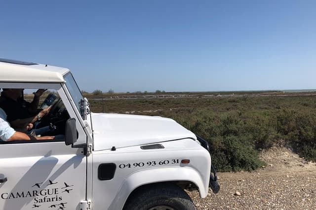 4x4 Camargue Safari 4h - Private Tour - Departure from Arles